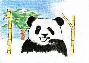 Dobročinný trh obrázků - Panda