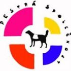 Pestrá společnost - výcvik asistenčních, vodících, canisterapeutických a signálních psů