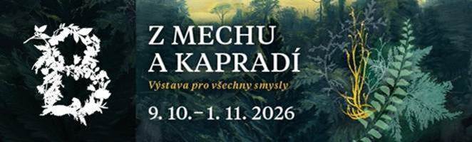 Leták Leták