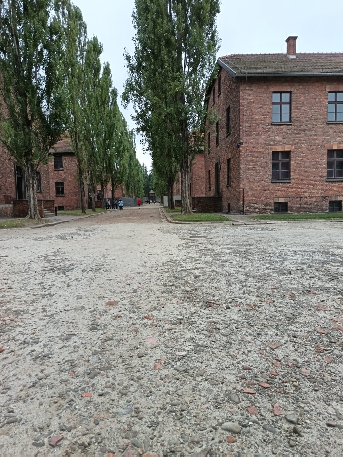 Chodníky v Auschwitz I Chodníky v Auschwitz I