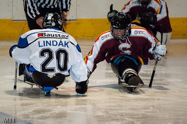 Doplňkový sport sledge hokej